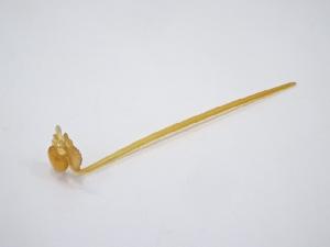 本鼈甲　花彫飾簪　□z